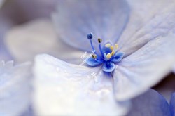 Объектив Tokina AT-X M100 F2.8 D Macro N/AF-D (100mm) для Nikon - фото 108935