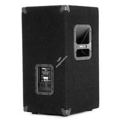INVOTONE AS12 - пассивная двухполосная 12" акустическая система, 250Вт,8Ом, 57Гц-18кГц,120 дБ SPL - фото 114531