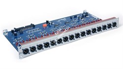 AVID VENUE OPTION CARD AO 16 - 16 кан. карта выходов для систем SC48,  Mix Rack System, Stage 48 - фото 115753