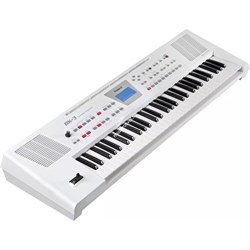 ROLAND BK-3-WH - синтезатор, 61 кл., звуков 851+53 ударных, 128 полиф., 250 ритмов, белый - фото 118068