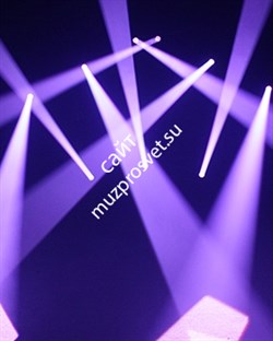 INVOLIGHT PROFX60 - голова вращения (BEAM/SPOT/WASH), LED COB 60 Вт RGBW, DMX-512 - фото 119927
