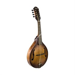 Washburn M106SWK - мандолина - фото 121580