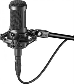 AT2035/Микрофон студийный конденсаторный /AUDIO-TECHNICA - фото 130274
