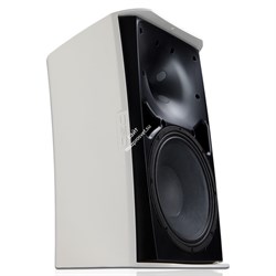 AD-S10T-BK / 2-полосная всепогодная АС, 10"+1", 250 Вт, 50 – 19kHz,  70/100V и 8 Ом, черный / QSC - фото 132325
