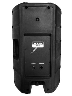 Xline XL10 Акустическая система пассивная, 10"+1.35", 250/500 Вт, 65 Гц- 20 кГц, 120 дБ, 8 Ом, пласт - фото 142188
