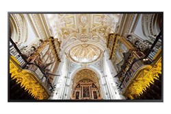 Профессиональная ЖК-панель Samsung QB55N - фото 146519