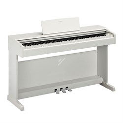 YAMAHA YDP-144WH - клавинова 88 кл. GHS, 10 тембров, 192 полиф., 3 педали, крышка кл., (белый) - фото 148840