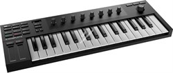 Native Instruments Komplete Kontrol M32 - фото 149763