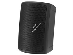 Tannoy AMS 6DC акустическая система, чёрная, 6,5"/1", 160Вт, 16Ом. Трансформатор 70В/100В - 60Вт, 30Вт, 15Вт, 7.5Вт, Частотный диапазон 75Гц - 30кГц -3дБ, крепление Yoke в комплекте, Вес 6,1кг, IP65 - фото 153106