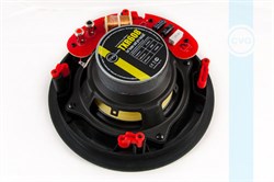 CVGaudio TXR608 - фото 155114