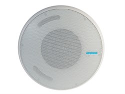 Подвесная двухполосная акустическая систем 100V - 32W / 16W / 8W / 4W / 2W / 1W, 8ohm – 60W, цвет белый - фото 155859
