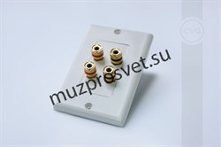 Двухканальный настенный декоративный кабельный вывод для спикерного кабеля (акустическая розетка) - фото 157271