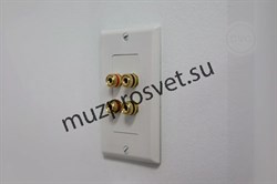 Двухканальный настенный декоративный кабельный вывод для спикерного кабеля (акустическая розетка) - фото 157274