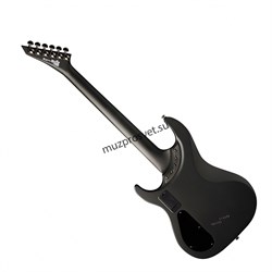 WASHBURN PXS10EC - электрогитара, 24 лада, цвет-чёрный матовый - фото 159581