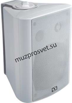 Direct Power Technology WL-150W настенный громкоговоритель - фото 160578