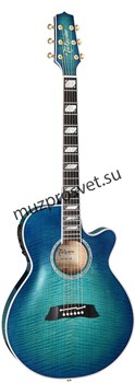 TAKAMINE TSP178ACSBB электроакустическая гитара, в комплекте кейс - фото 160947