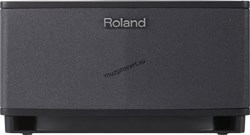 ROLAND CUBE-LT-WH Стильный гитарный усилитель со встроенным iOS интерфейсом - фото 161765