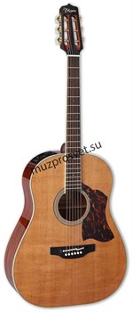 TAKAMINE CRN-TS1 электроакустическая гитара, в комплекте кейс - фото 165493