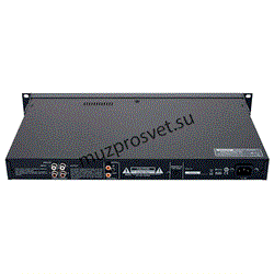 Tascam SS-R100 2-канальный  Wav/MP3 рекордер- плеер SD/ CF/USB - фото 168693