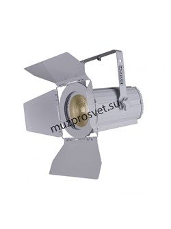 Прожектор BT-THEATRE 100EC WHITE - фото 190780