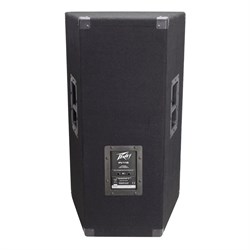 Peavey PV 115 Пассивная акустическая система с защитой динамиков - фото 204972
