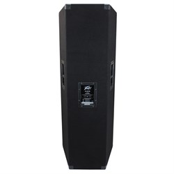 Peavey PV 215 Пассивная акустическая система с защитой динамиков - фото 204976