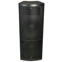 Peavey SP 4 Пассивная акустическая система с bi-amp подключением - фото 205049