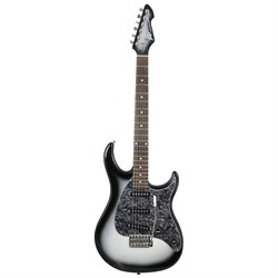 Peavey Raptor Custom Silverburst  Электрогитара - фото 205705