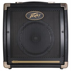 Peavey Ecoustic  E20   Комбоусилитель для акустической гитары - фото 205807