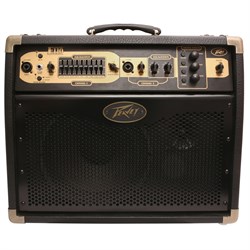 Peavey Ecoustic E110 Комбоусилитель для акустической гитары с процессором эффектов - фото 205905