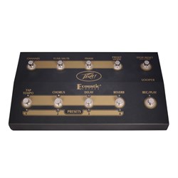 Peavey Ecoustic E110 Комбоусилитель для акустической гитары с процессором эффектов - фото 205906