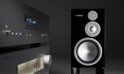 NS-5000 PN Right 3-полосная полочная акустическая система - фото 206796