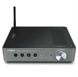 WXC-50 Dark Silver Беспроводной предусилитель для потокового воспроизведения - фото 206894