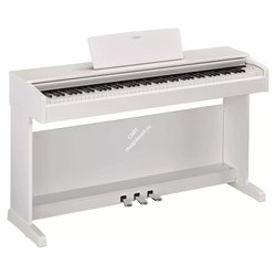 Yamaha YDP-143WH -  клавинова 88 кл. GHS, 10 тембров, 192 полиф., 3 педали, крышка кл., (белый) - фото 21332