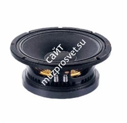 EIGHTEEN SOUND 10MB600/8 - 10'' динамик среднебасовый, 8 Ом, 450 Вт AES, 98dB, 55...4500 Гц - фото 23581