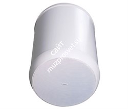 Tannoy OCV 8-WH  белый подвесной коаксиальный громкоговоритель цилиндрической формы. Закрытый корпус. Номинальная/программная/пиковая мощн. 70 /140 /280 Вт. Сопр. 16 Ом. НЧ/СЧ динамик 8", ВЧ - 0,79''.  Диапазон 60Гц-30кГц. Материал корпуса - пластик и ста - фото 28053
