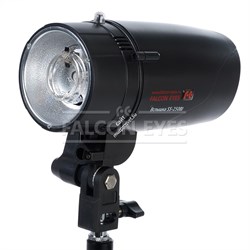 Вспышка SS-250BJ - фото 30173