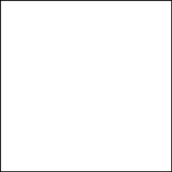 Фон бумажный Colortone 2.75*11m/White Tone Белый BDSV-2.75-50 - фото 30303