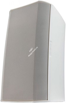 AD-S10T-WH /2-полосная всепогодная АС, 10"+1", 250 Вт, 50 – 19kHz,  70/100V и 8 Ом, , белый цвет/ QS - фото 33014
