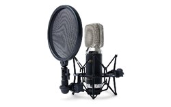 MPM3500R / Ленточный микрофон, элемент: ленточный, Диаграмма направленности: Диполь / MARANTZ - фото 33783