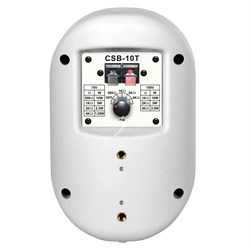 SHOW CSB-10T/BK - широкополосная АС 70/100В,10Вт, 85 дБ, динамик 3", черный - фото 37913
