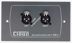 CLOUD BE-1W  Активная входная плата для DCM1 с 2 мя балансными XLR-мама входами. Цвет белый. - фото 43306