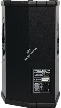 Behringer B1220 PRO 2-полосная пассивная 12" АС/монитор 300Вт 50Гц-18кГц 8Ом - фото 45220