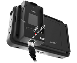 Atomos AtomX GigE/NDI - фото 48237