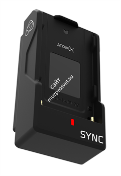 Atomos AtomX GigE/NDI - фото 48239