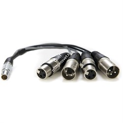 Atomos Lemo to XLR Breakout cable (In/Out) - фото 48321