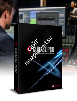 Обновление программного обеспечения Steinberg Cubase Pro 9.5 EE UD1 (from Cubase 9) - фото 53614