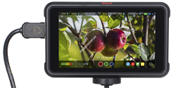 Atomos Screen Protector for Ninja V - фото 54090