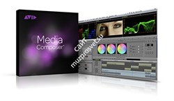 Avid Media Composer Perpetual 1-Year Updates + Standard Support Plan REINSTATEMENT - фото 54491