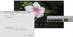 Avid Video Satellite LE Option - фото 54779